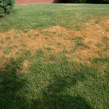Is-the-Summer-Heat-Wrecking-Your-Tennessee-Lawn-Heres-How-to-Prepare-for-Fall-Recovery 0